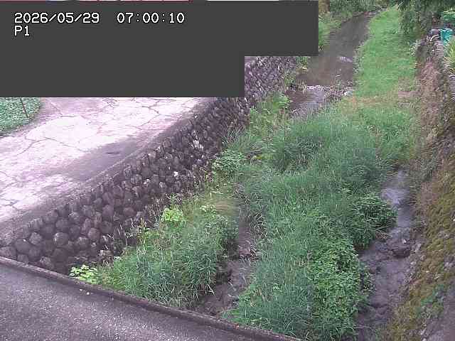 新興寺谷川１2026/05/30 3:30:00