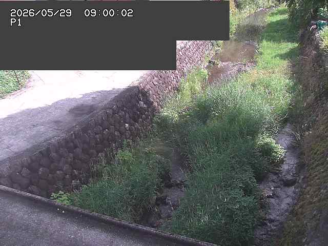 新興寺谷川１2026/05/30 3:30:00