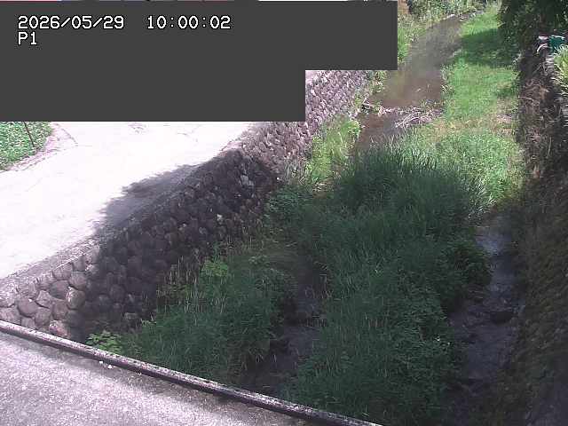 新興寺谷川１2026/05/30 3:30:00