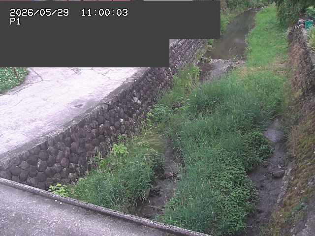 新興寺谷川１2026/05/30 3:30:00