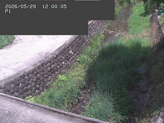 新興寺谷川１2026/05/30 3:30:00