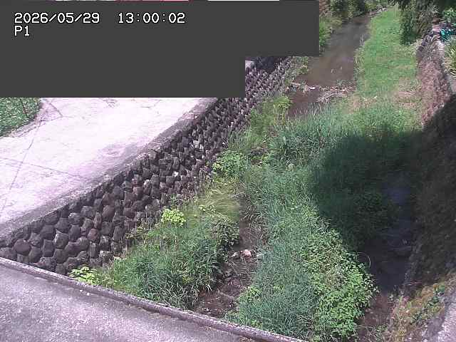 新興寺谷川１2026/05/30 3:30:00