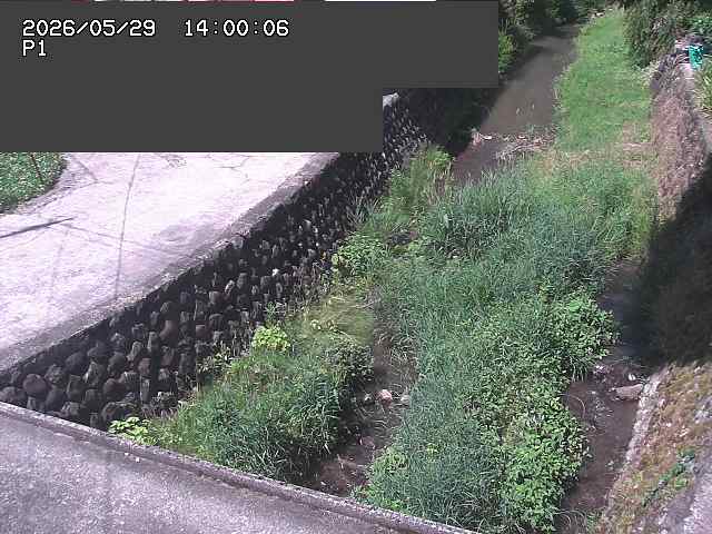 新興寺谷川１2026/05/30 3:30:00