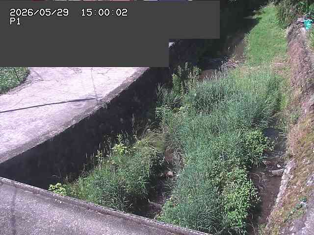 新興寺谷川１2026/05/30 3:30:00