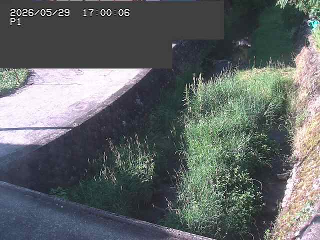 新興寺谷川１2026/05/30 3:30:00