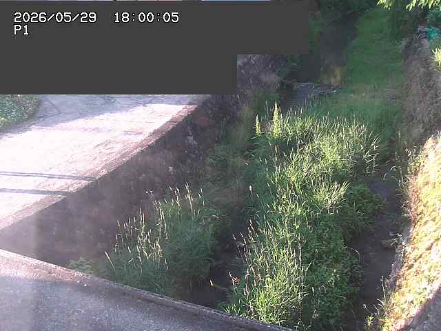 新興寺谷川１2026/05/30 3:30:00
