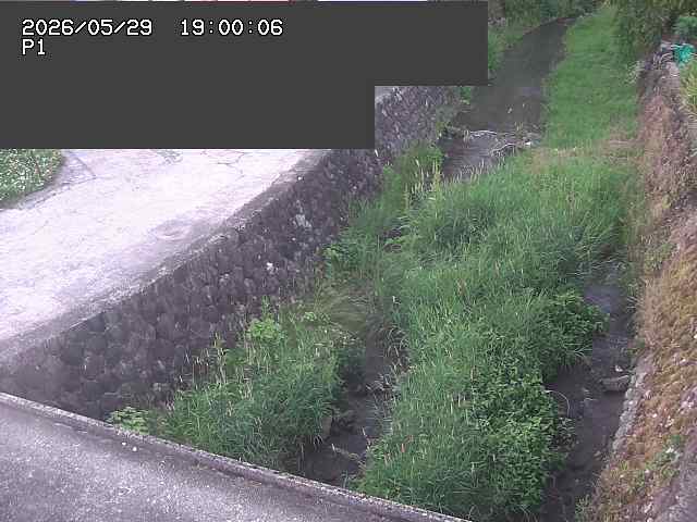 新興寺谷川１2026/05/30 3:30:00