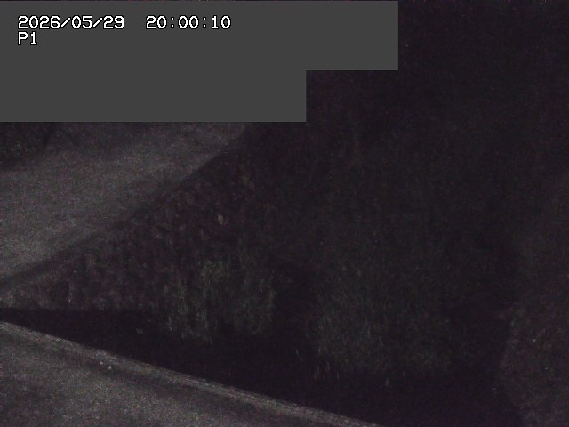 新興寺谷川１2026/05/30 3:30:00