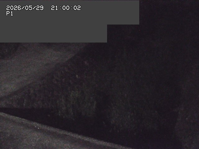 新興寺谷川１2026/05/30 3:30:00