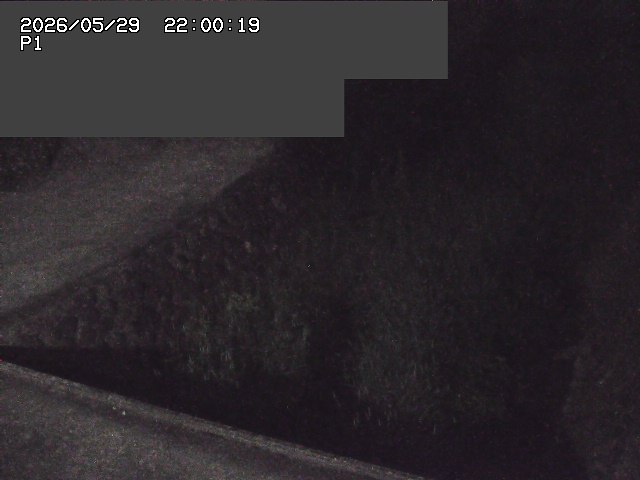 新興寺谷川１2026/05/30 3:30:00