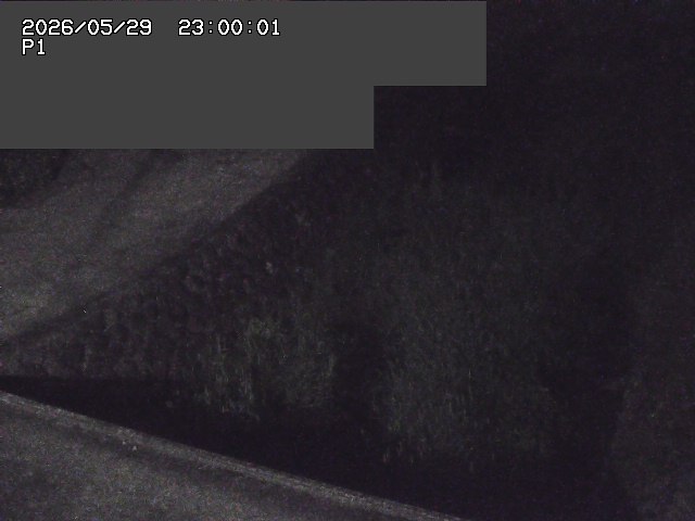 新興寺谷川１2026/05/30 3:30:00