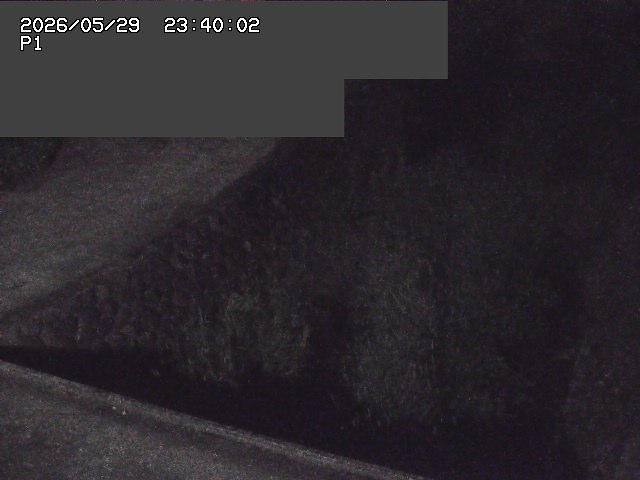新興寺谷川１2026/05/30 3:30:00