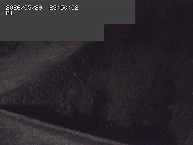 新興寺谷川１2026/05/30 3:30:00