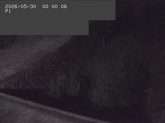 新興寺谷川１2026/05/30 3:30:00