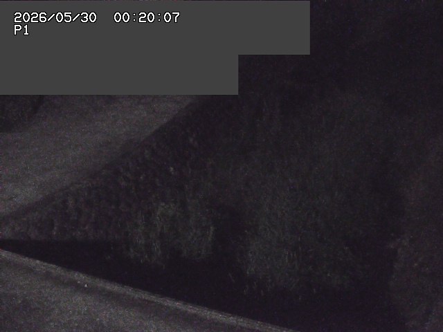 新興寺谷川１2026/05/30 3:30:00