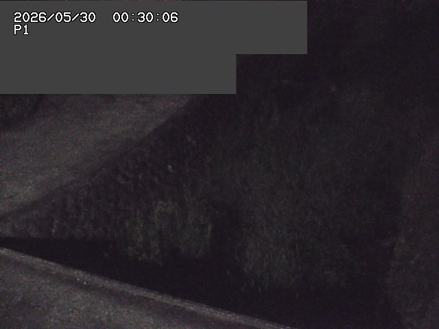 新興寺谷川１2026/05/30 3:30:00