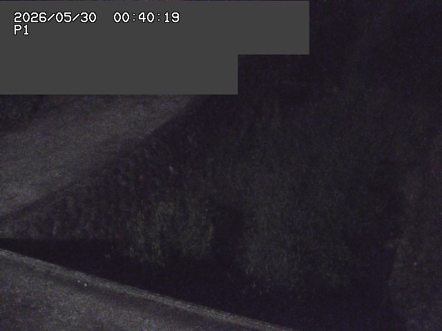 新興寺谷川１2026/05/30 3:30:00