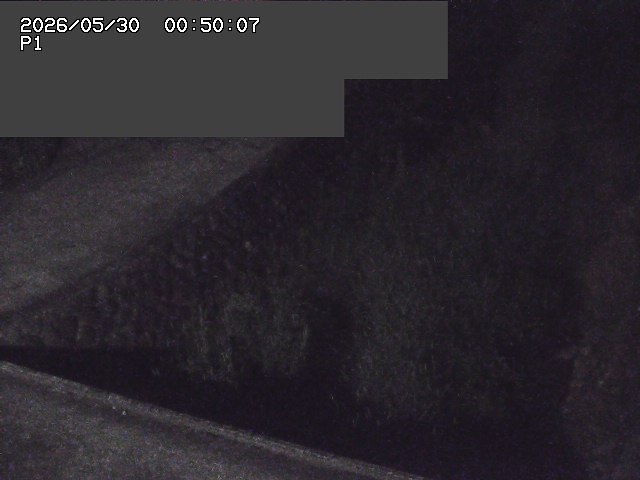 新興寺谷川１2026/05/30 3:30:00