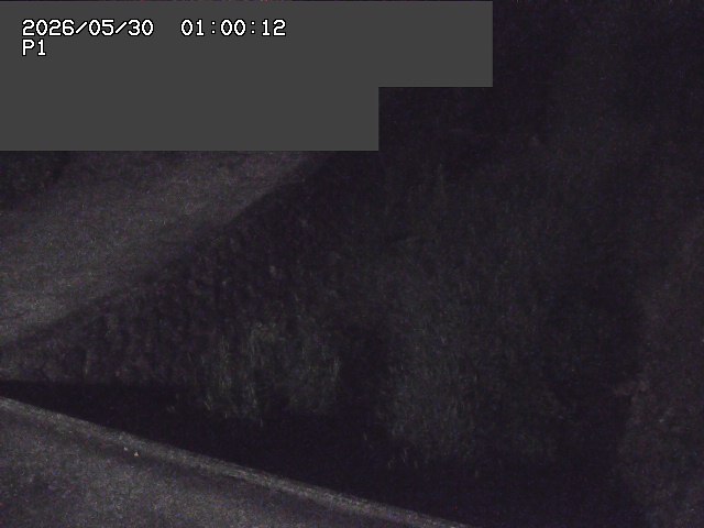 新興寺谷川１2026/05/30 3:30:00