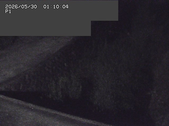 新興寺谷川１2026/05/30 3:30:00