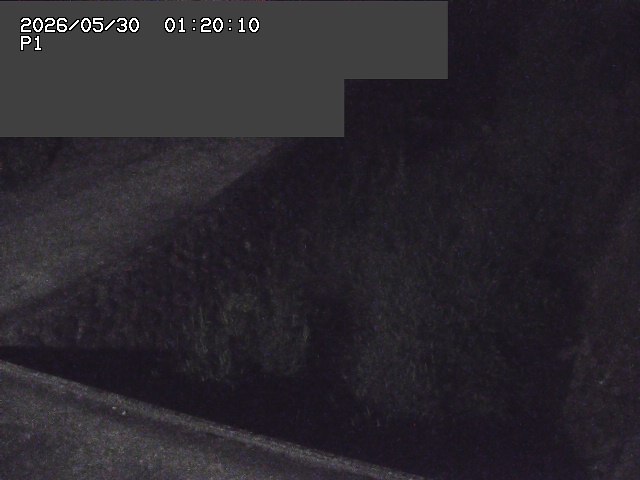 新興寺谷川１2026/05/30 3:30:00