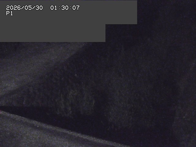 新興寺谷川１2026/05/30 3:30:00