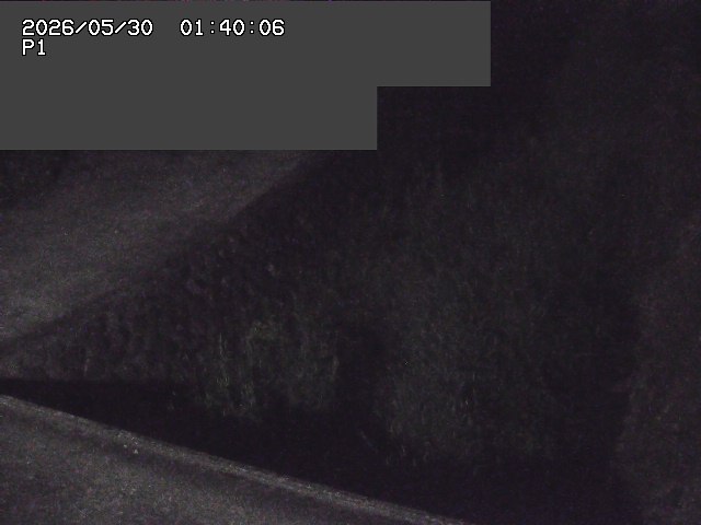 新興寺谷川１2026/05/30 3:30:00
