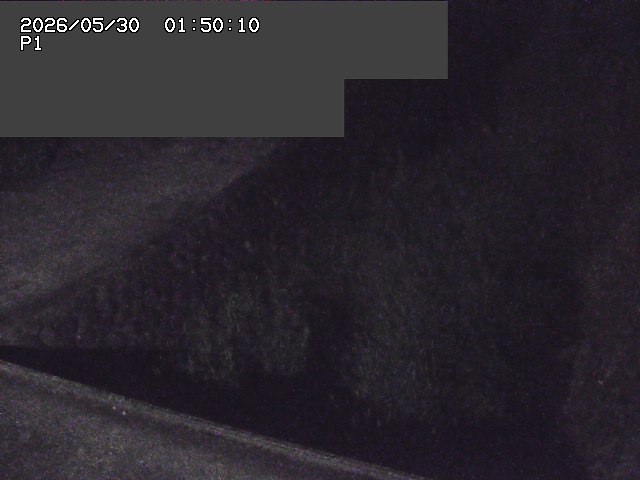 新興寺谷川１2026/05/30 3:30:00