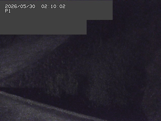 新興寺谷川１2026/05/30 3:30:00