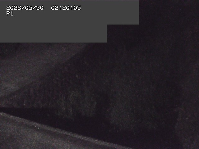 新興寺谷川１2026/05/30 3:30:00