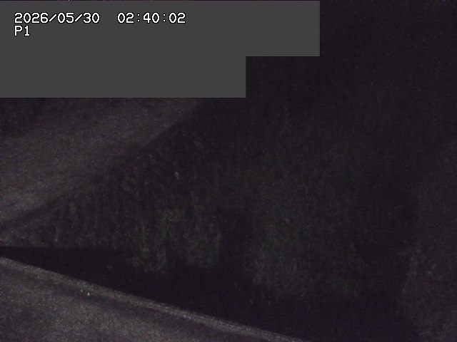 新興寺谷川１2026/05/30 3:30:00