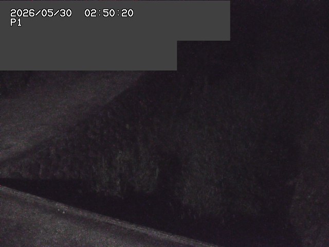 新興寺谷川１2026/05/30 3:30:00