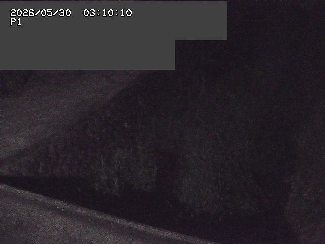 新興寺谷川１2026/05/30 3:30:00