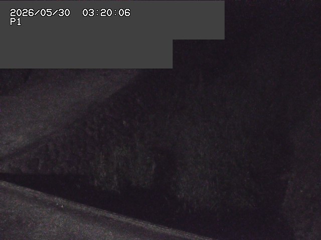 新興寺谷川１2026/05/30 3:30:00