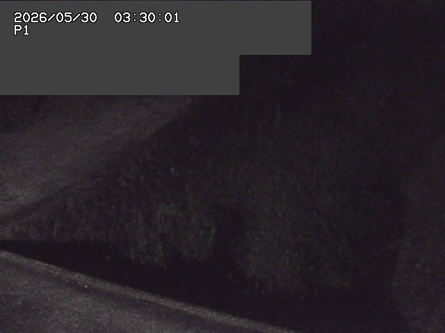 新興寺谷川１2026/05/30 3:30:00