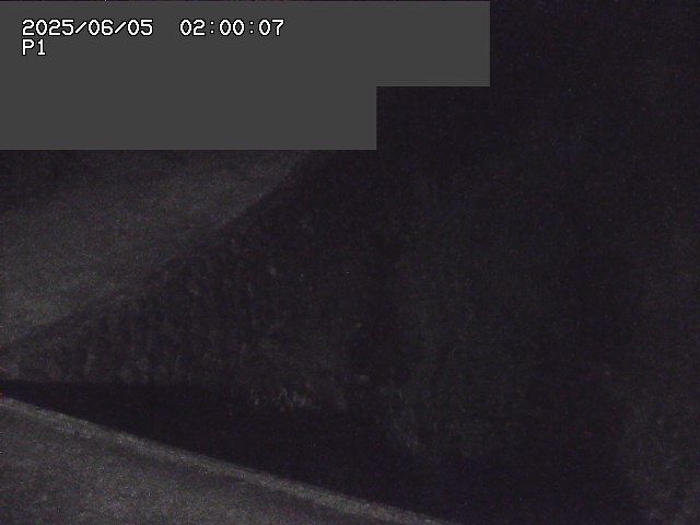 新興寺谷川１2025/06/06 1:00:00