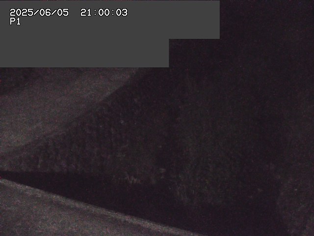 新興寺谷川１2025/06/06 1:00:00