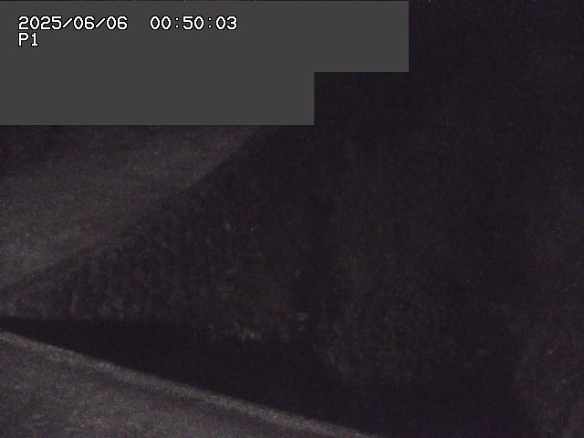 新興寺谷川１2025/06/06 1:00:00