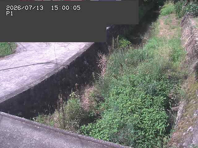 新興寺谷川１2026/07/14 15:20:00