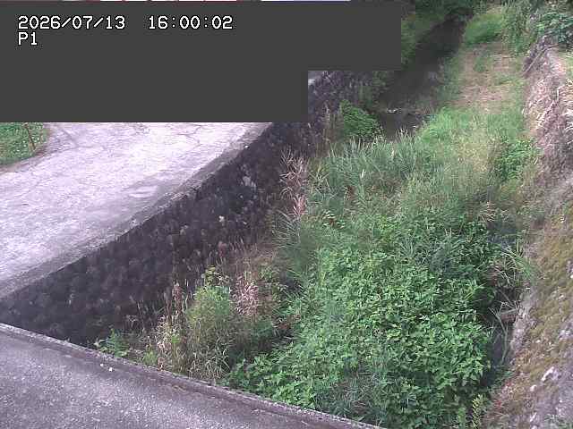 新興寺谷川１2026/07/14 15:20:00