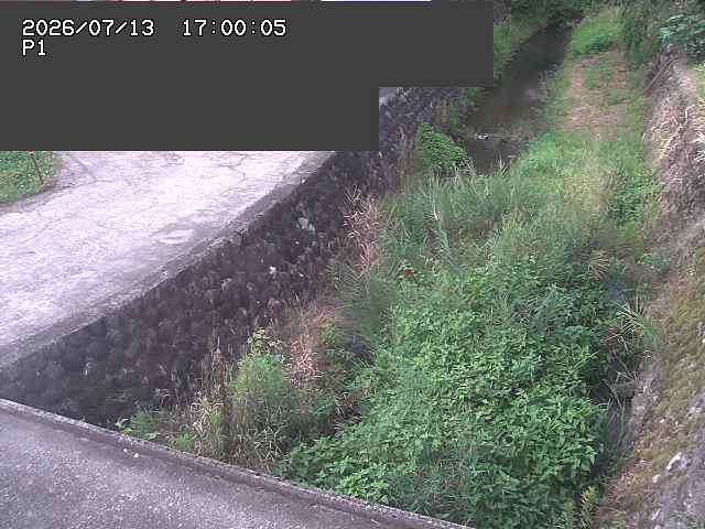 新興寺谷川１2026/07/14 15:20:00
