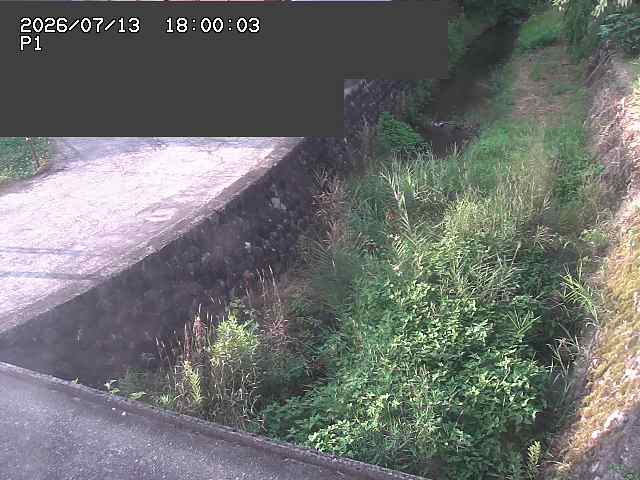 新興寺谷川１2026/07/14 15:20:00