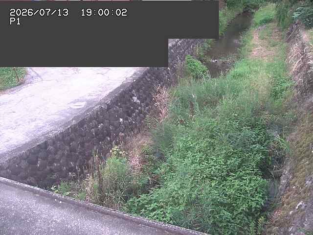 新興寺谷川１2026/07/14 15:20:00