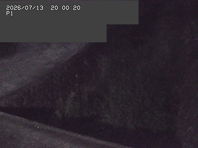 新興寺谷川１2026/07/14 15:20:00