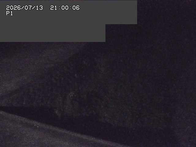 新興寺谷川１2026/07/14 15:20:00
