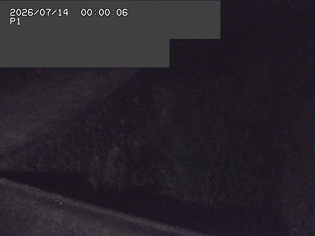 新興寺谷川１2026/07/14 15:20:00