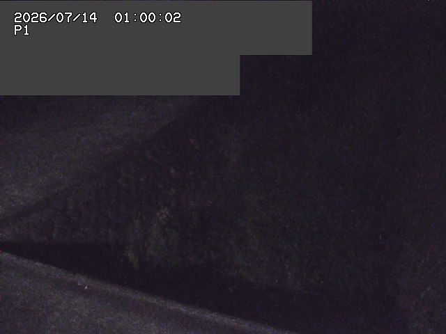 新興寺谷川１2026/07/14 15:20:00
