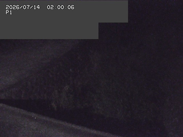 新興寺谷川１2026/07/14 15:20:00