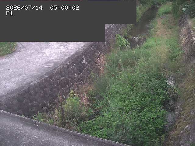 新興寺谷川１2026/07/14 15:20:00