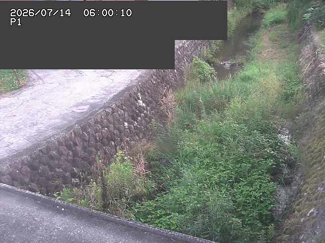 新興寺谷川１2026/07/14 15:20:00